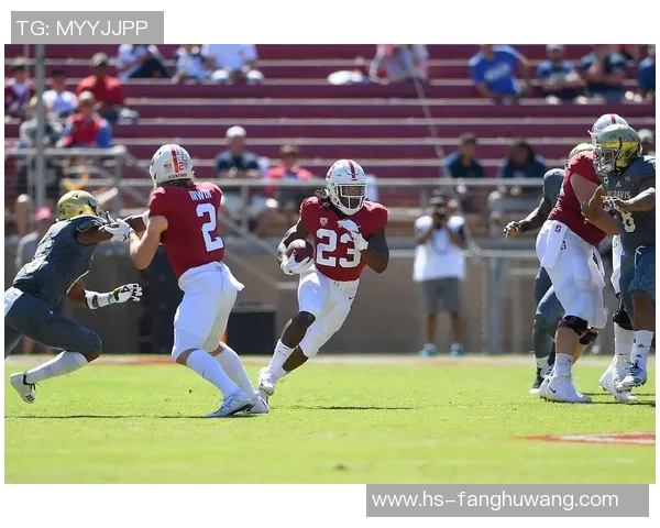 猛兽驰骋绿茵场以动物比喻球星展现足球力量与智慧 猛兽驰骋绿茵场以动物比喻球星展现足球力量与智慧