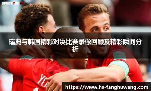 瑞典与韩国精彩对决比赛录像回顾及精彩瞬间分析